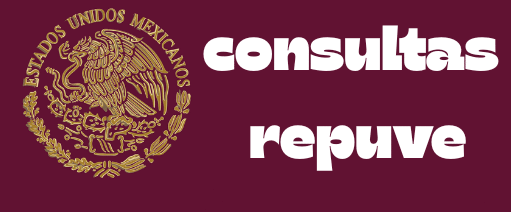 consultasrepuve.com